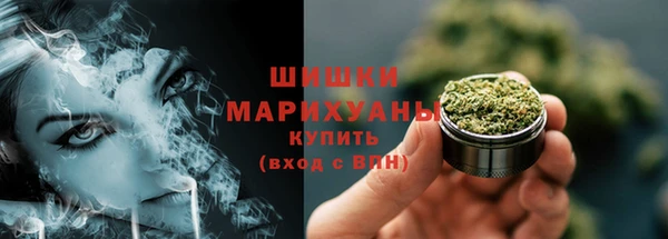 шишки Нея