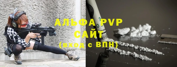 гашик Апатиты