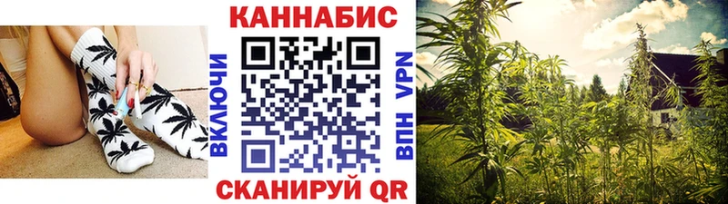Конопля индика  Миньяр 